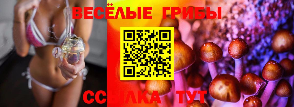 Галлюциногенные грибы Cubensis Черемхово